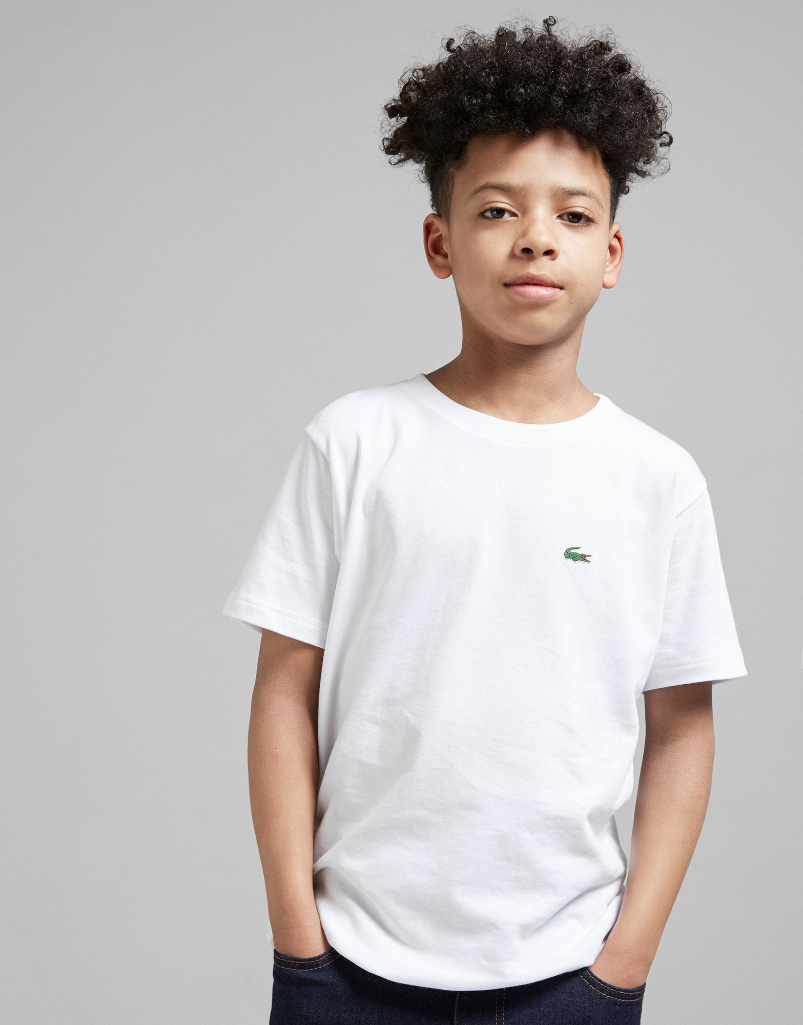 Lacoste T-Shirt Petit Logo Junior