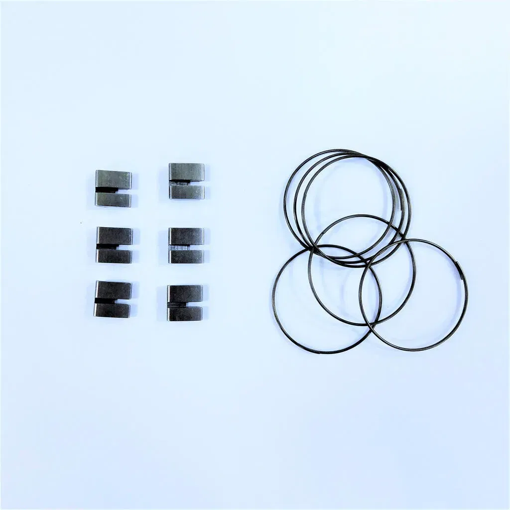 Syncros SCO Hub Pawl/spring kit