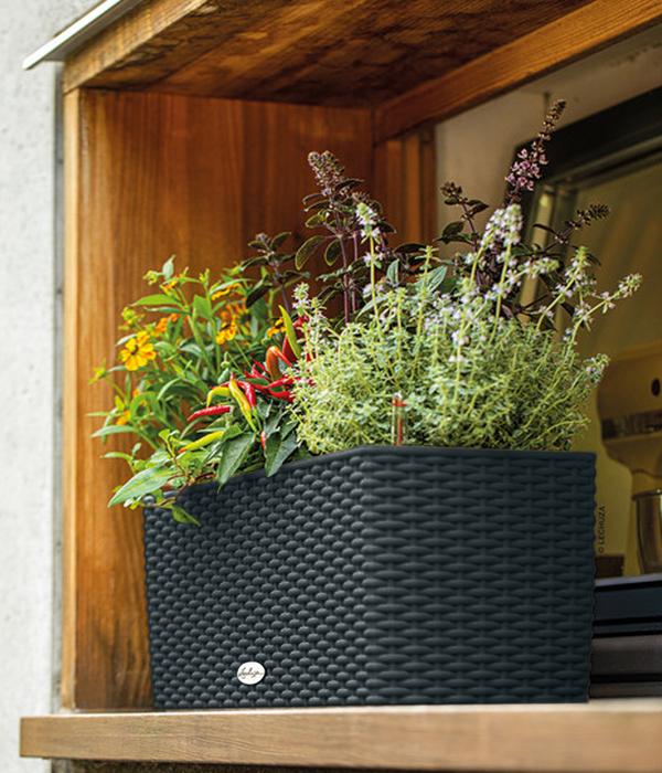 LECHUZA® Kunststoff-Kasten Balconera Cottage,