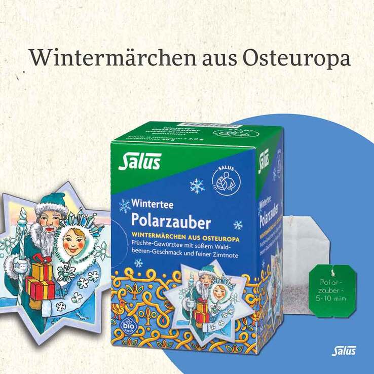 Polarzauber Früchte-Gewürztee Bio Salus Filterbeutel , 15 St