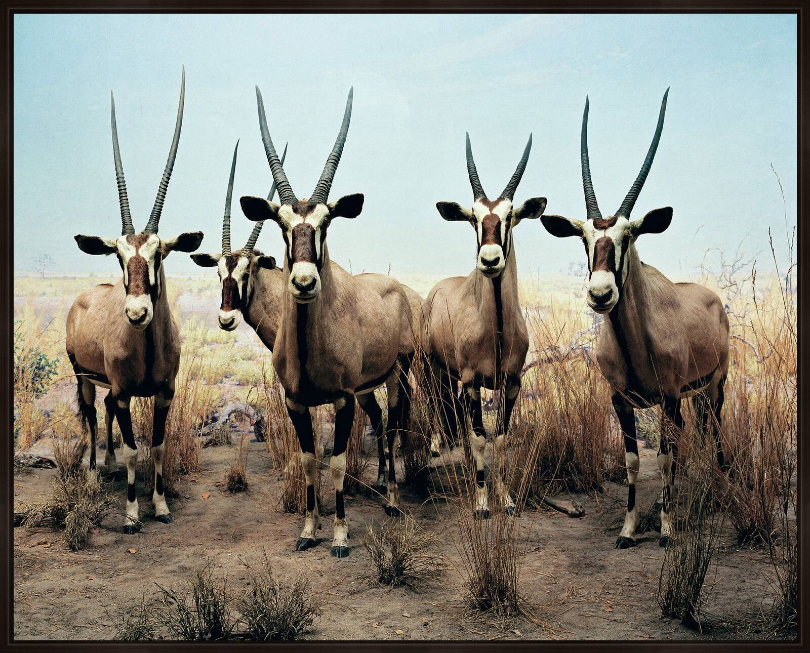 Diorama #7 by Henning Bock - Limited Edition. Edition of: 100. Signed.