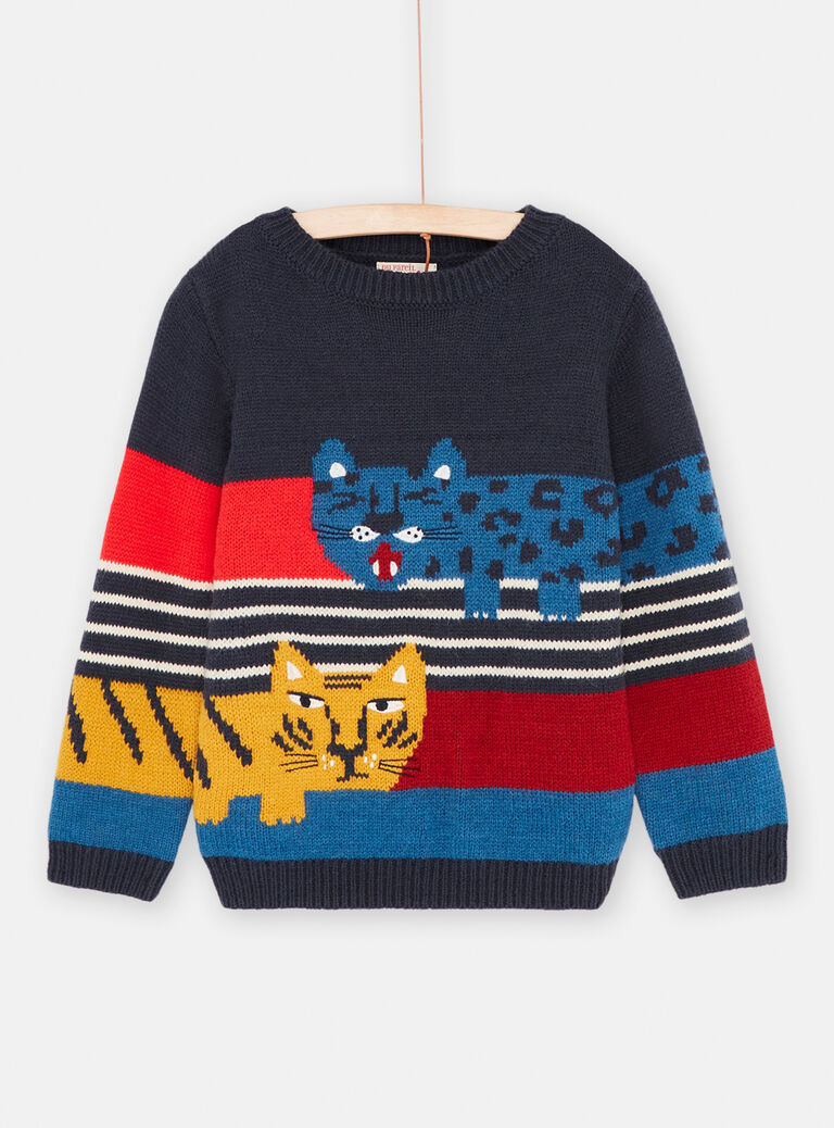 Pull multicolore à imprimé à rayures garçon