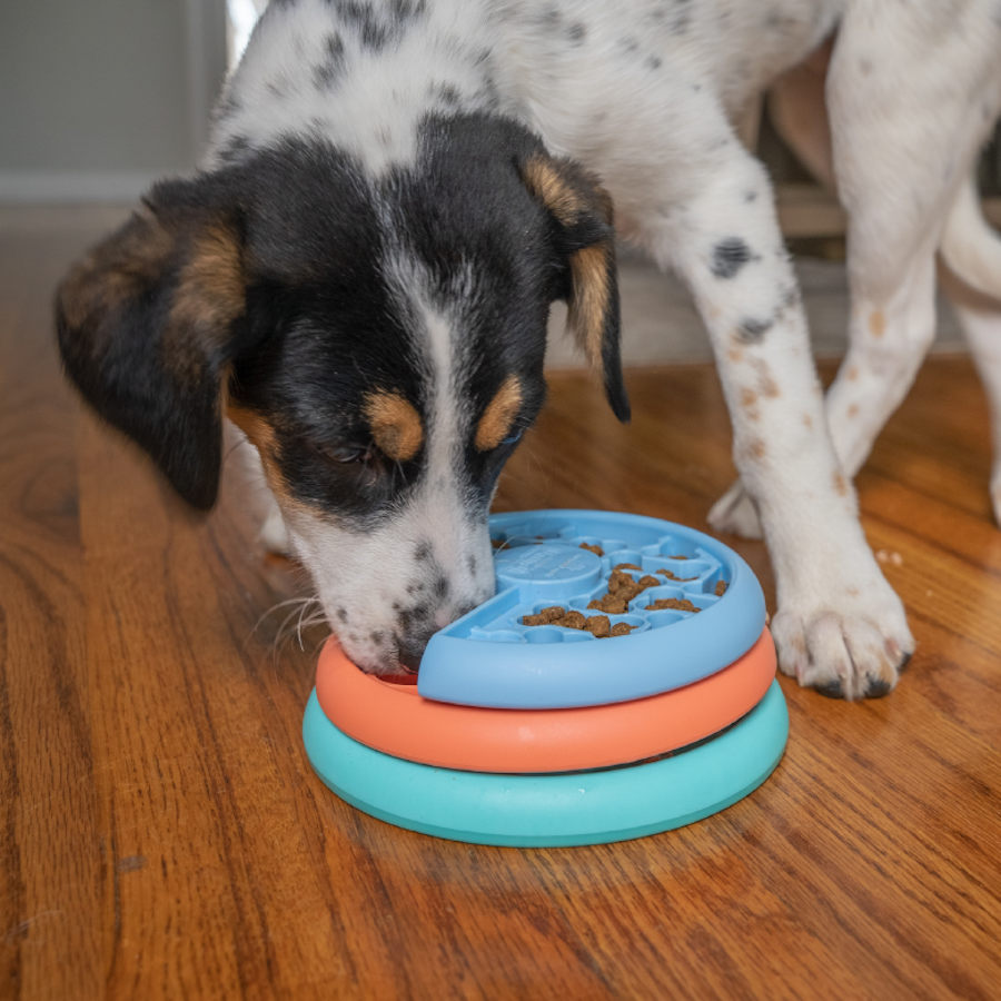 Brinquedo interativo para filhotes Outward Hound Nina Ottosson Puppy Lickin' Layers.