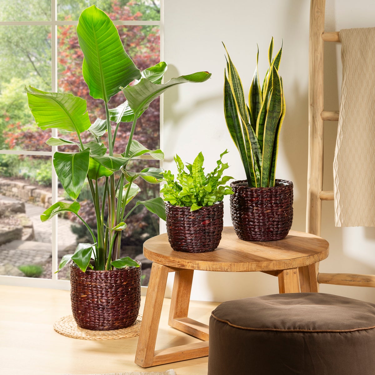 Scheurich Waterhyacint 25, plantenmand/mandpot van waterhyacint, kleur: bruin, 25 cm diameter, 22,5 cm hoog, 10,6 l inhoud.