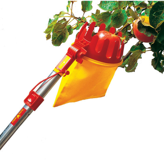 Cueille-fruits multi star: tête sans manche