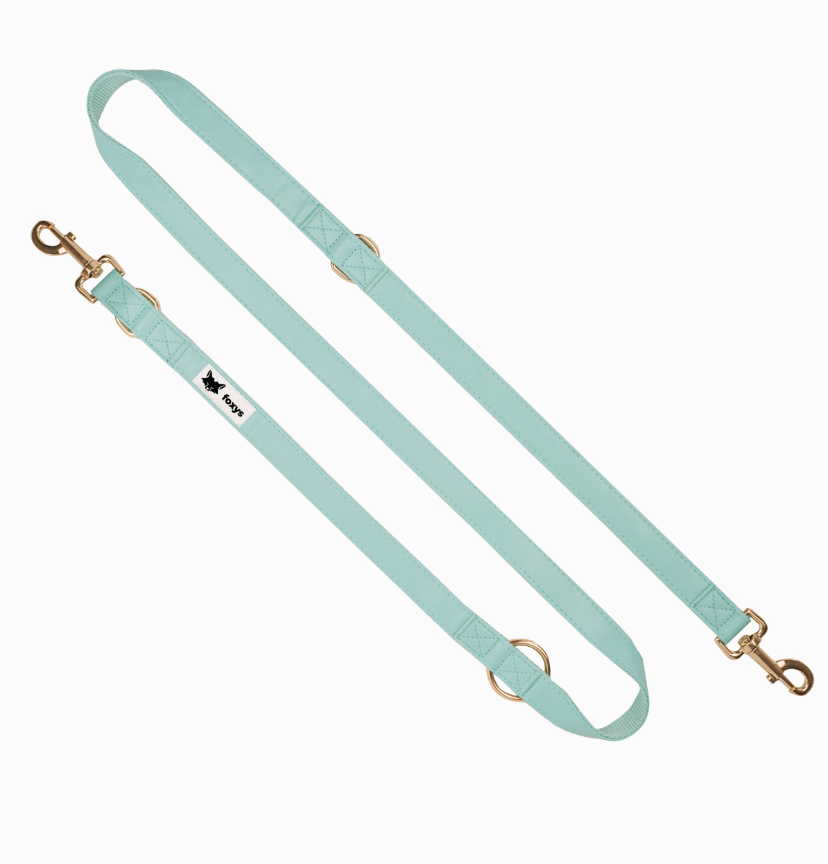 Kit de coleira e guia para cães CITYFOX™ AQUA