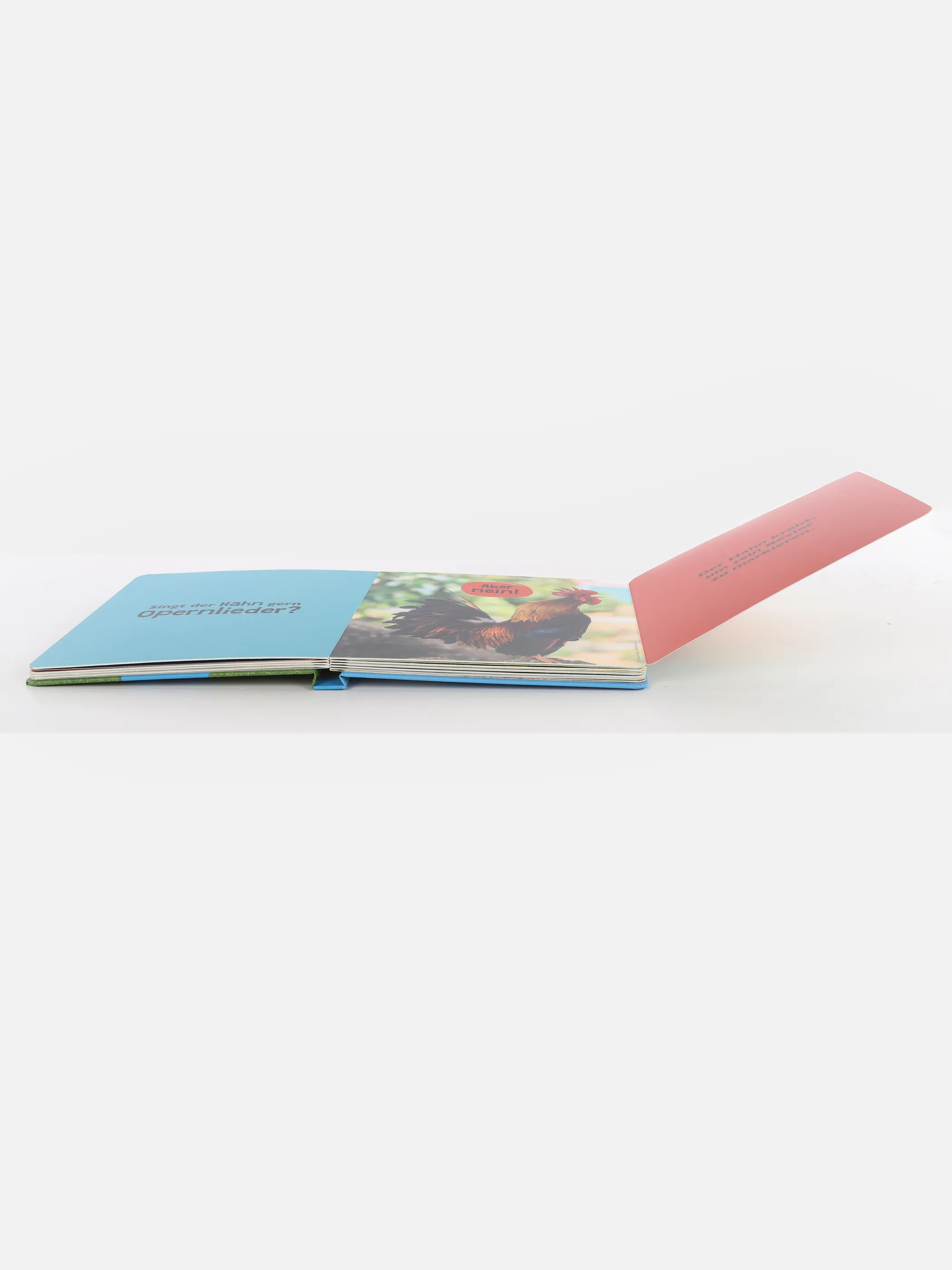 Kleinkinder Buch 
