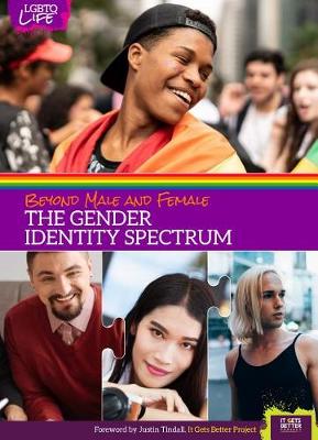 Beyond Male and Female: The Gender Identity Spectrum - LGBTQ Life (Hardback)