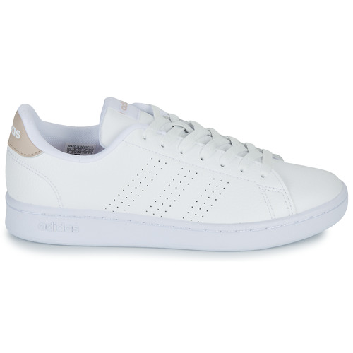 Adidas Sportswear - ADVANTAGE - Blanc / Beige