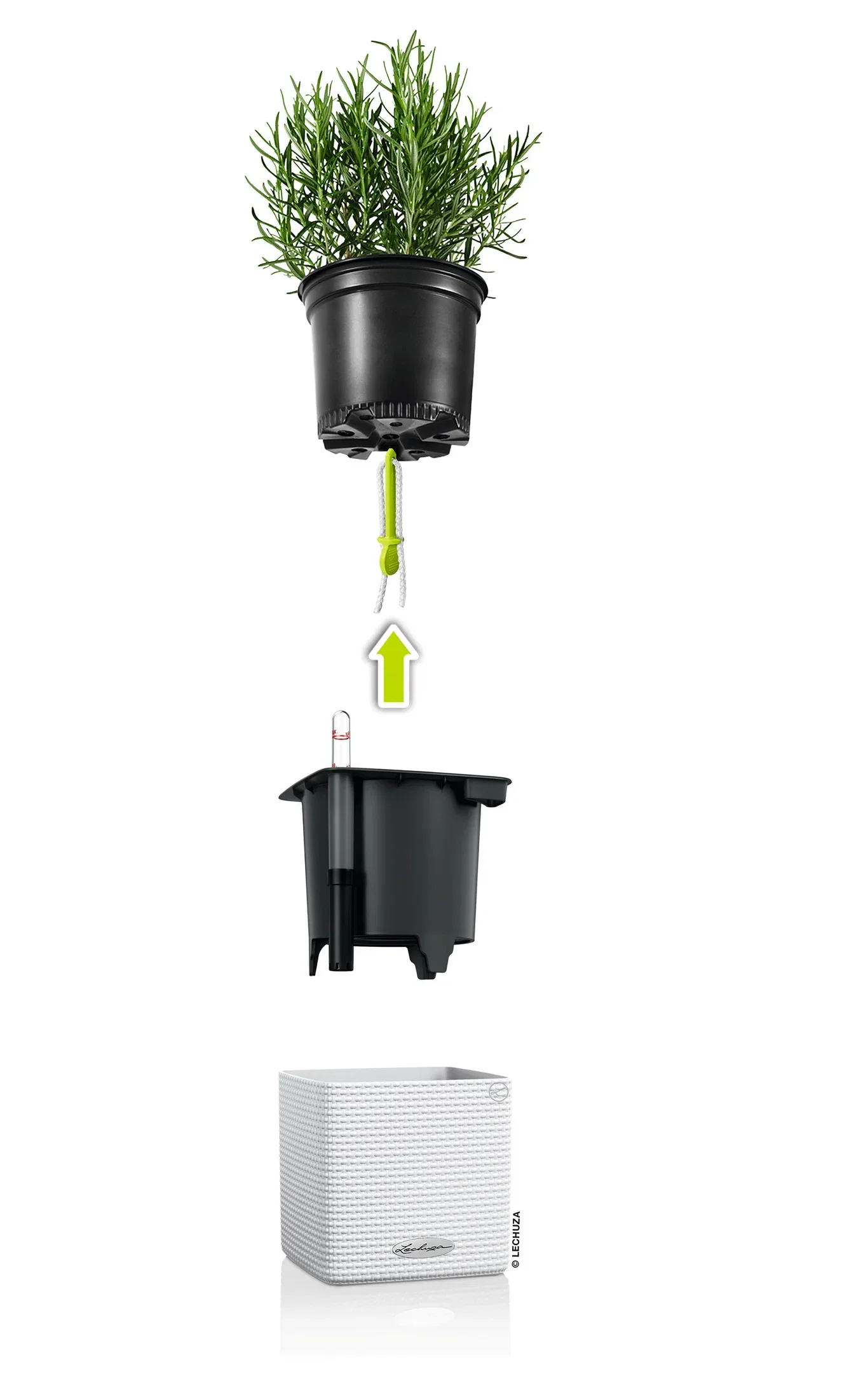 Lechuza Selvvanningspotte Cube Lengde 14 cm