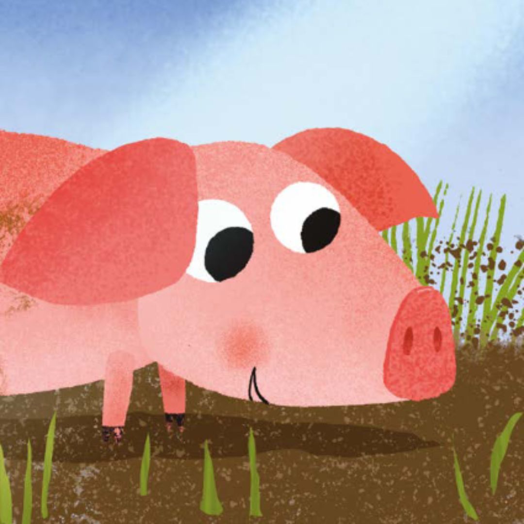Uitgeverij clavis geluidenboekje de boerderij