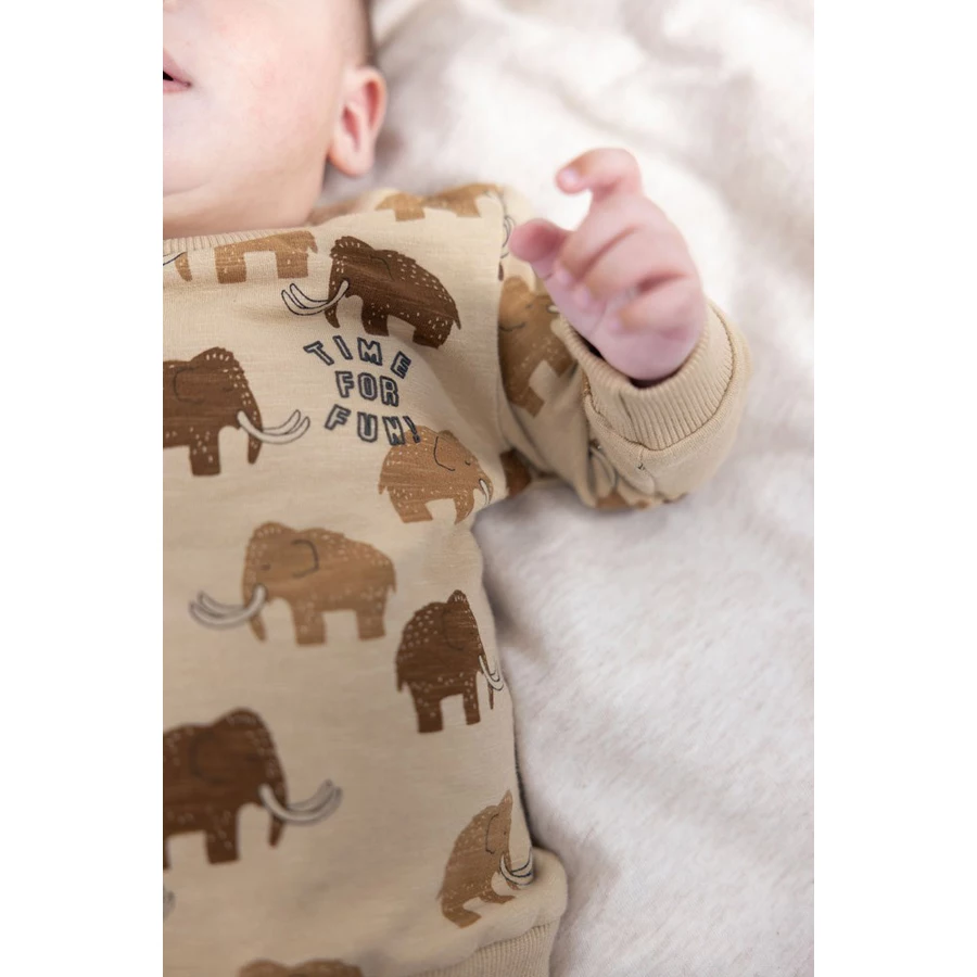 Feetje Sweatshirt Best Friends Sand