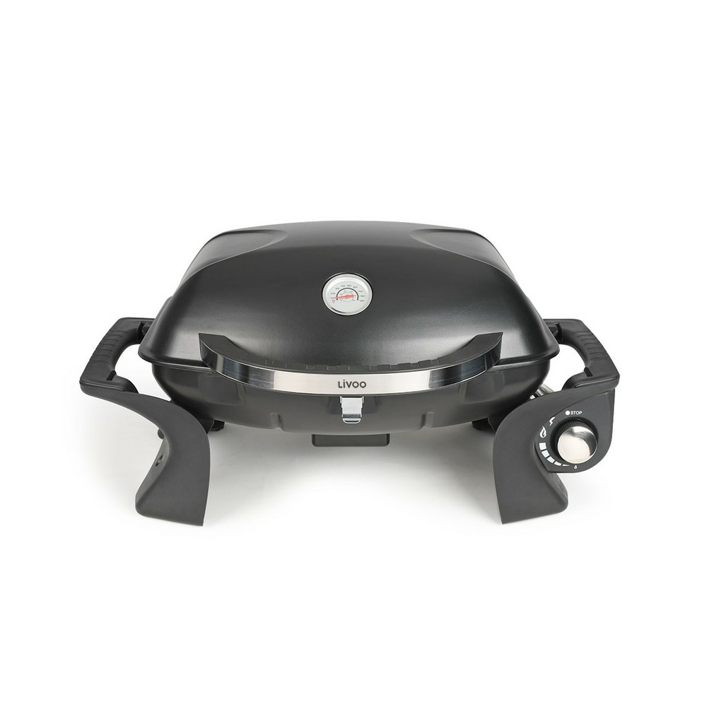Barbecue gaz portable