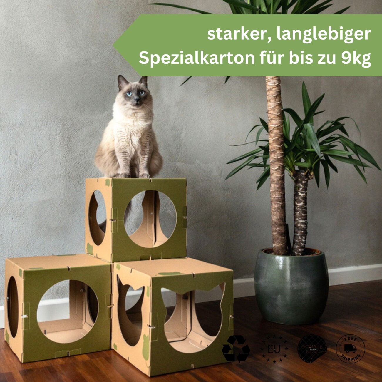 DoPetMe Katzenhaus The Kitten Castle