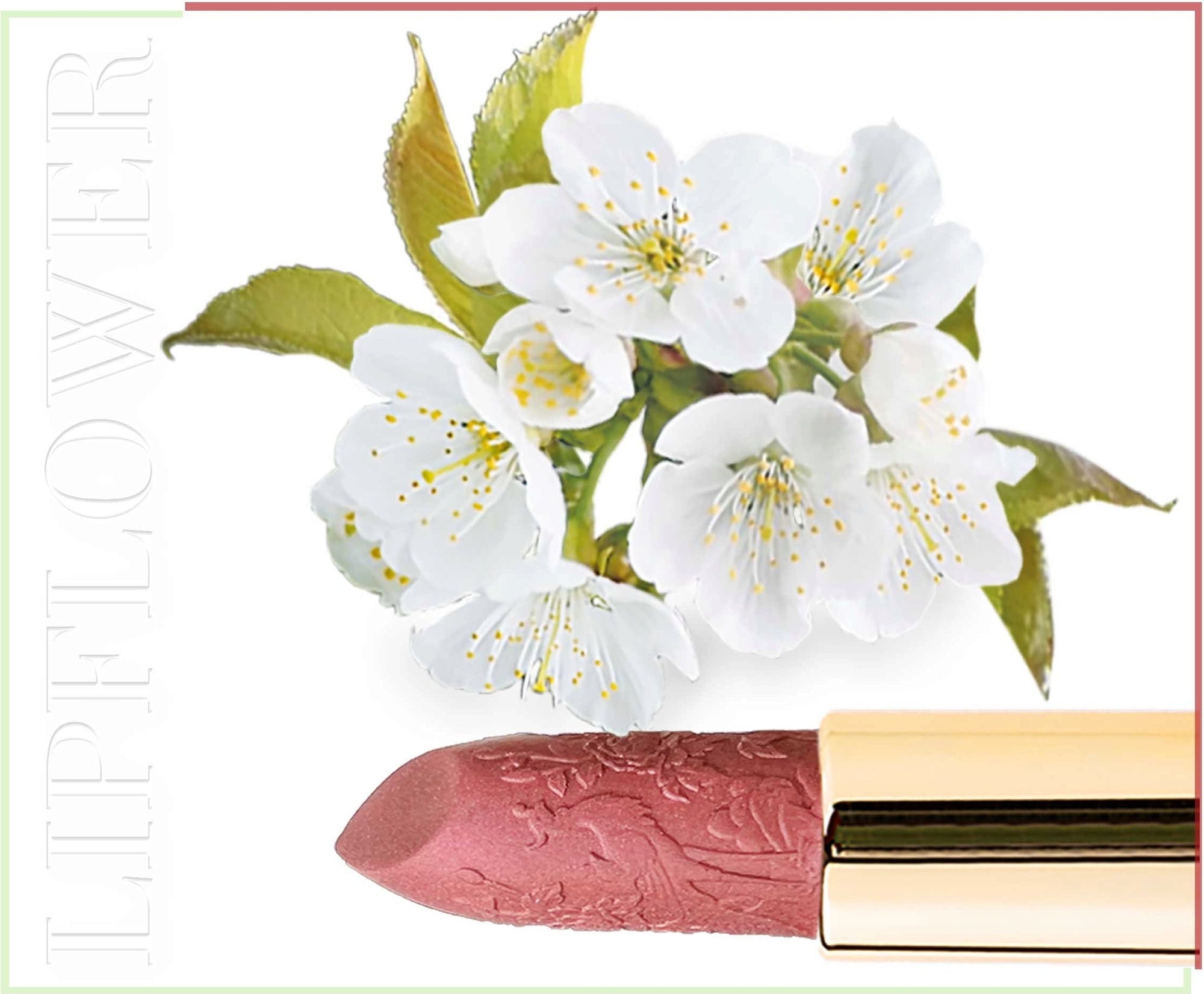 Shaoyun  Lip Flower Kirschblüte Nr. 194, 3,60 g
