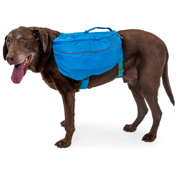 Ruffwear - Approach Pack - Harnais pour chien