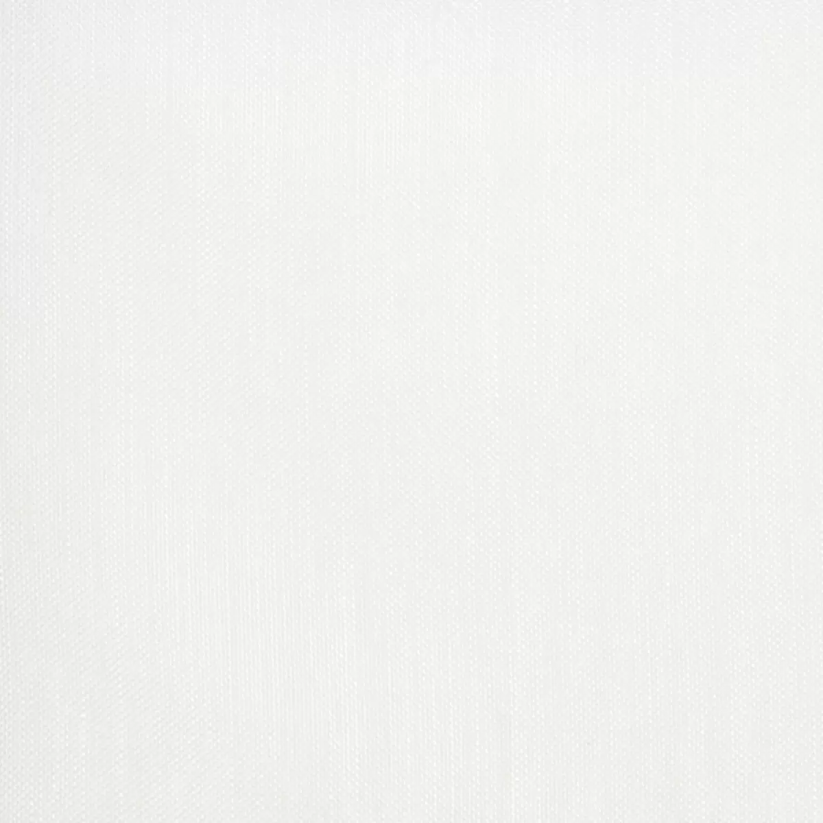 Tagvorhang Mousseline weiss