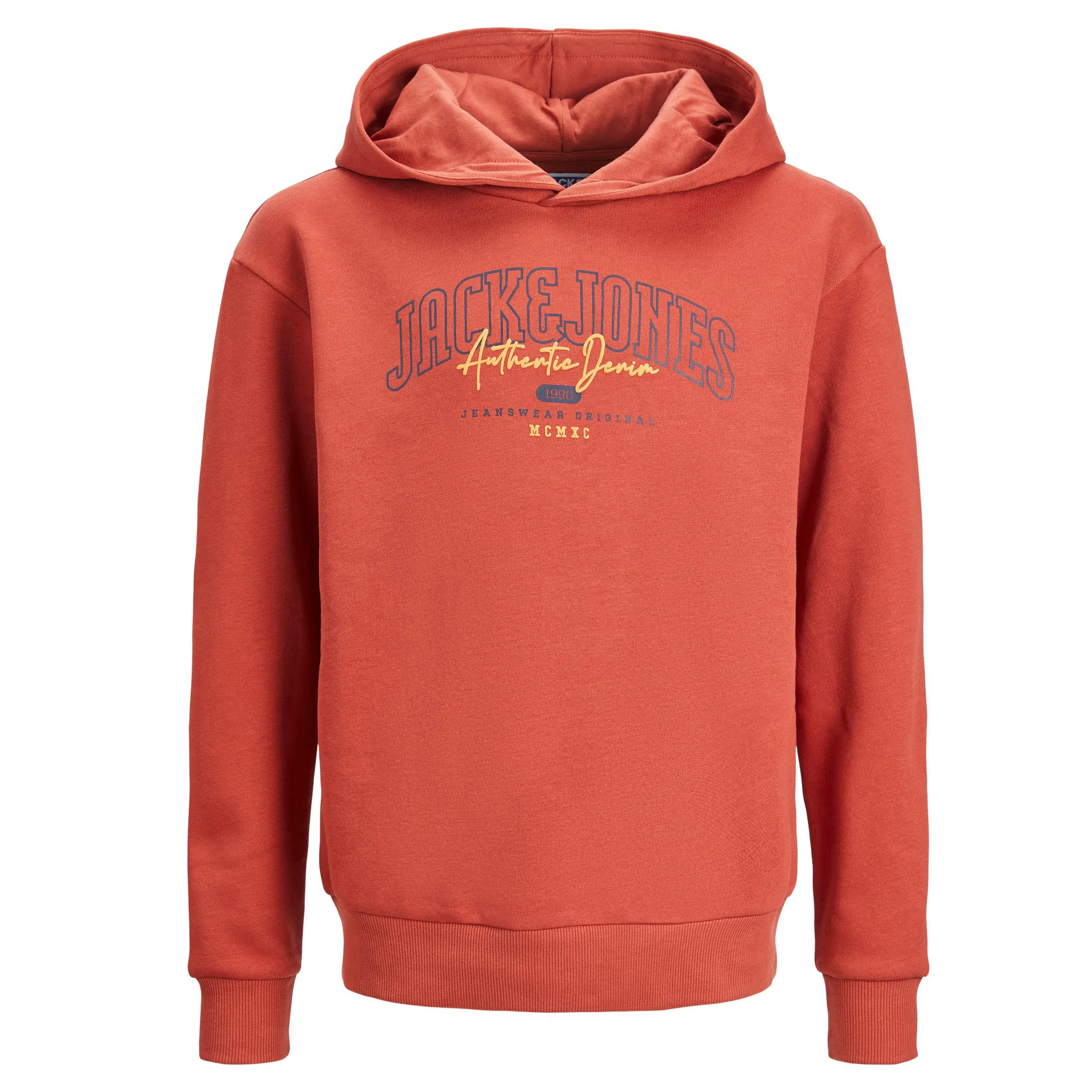 Jack&Jones Junior JJLARRY SWEAT HOOD JN Hoodie