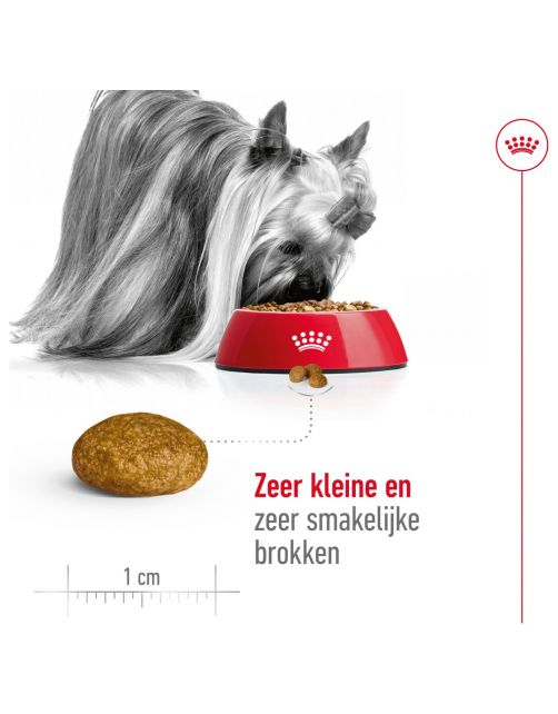 Royal Canin X-Small Adult - Hondenvoer