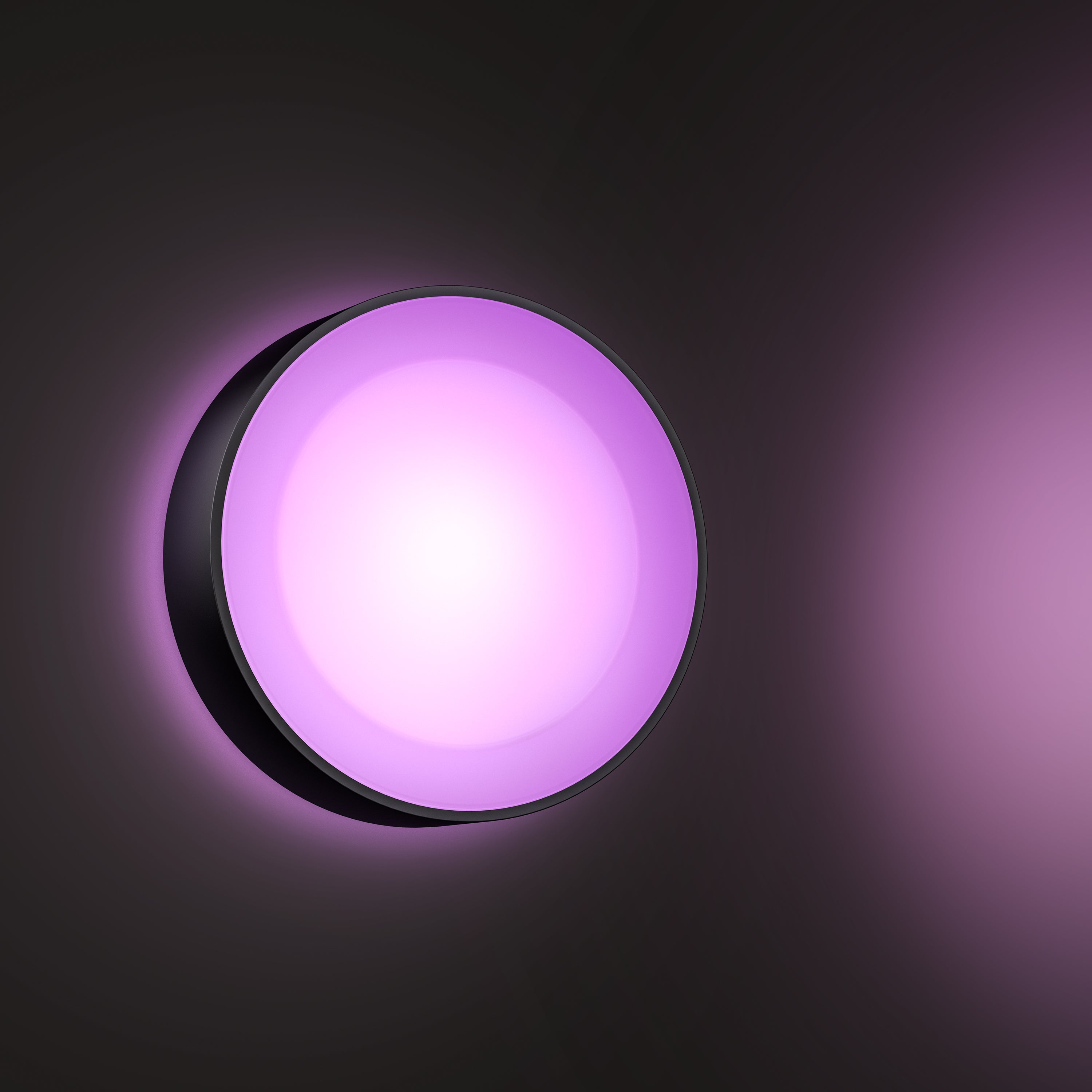 Philips Hue White & Color Ambiance Daylo Wandlamp