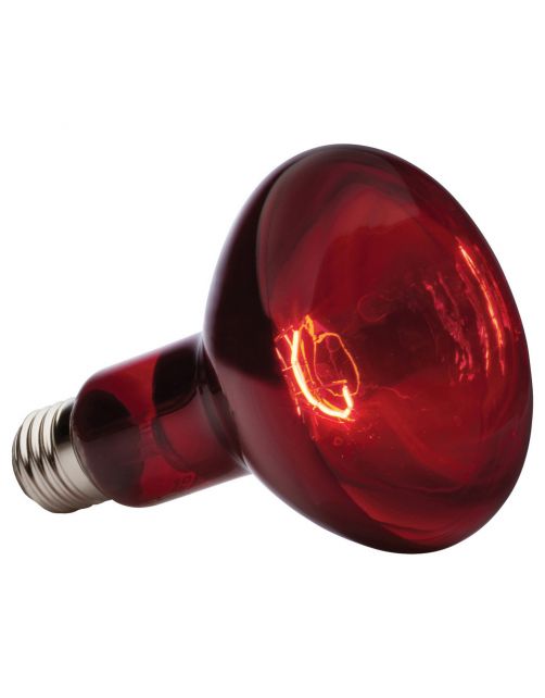 Exo Terra Infrared Basking Spot - Verlichting - 150 Watt R30