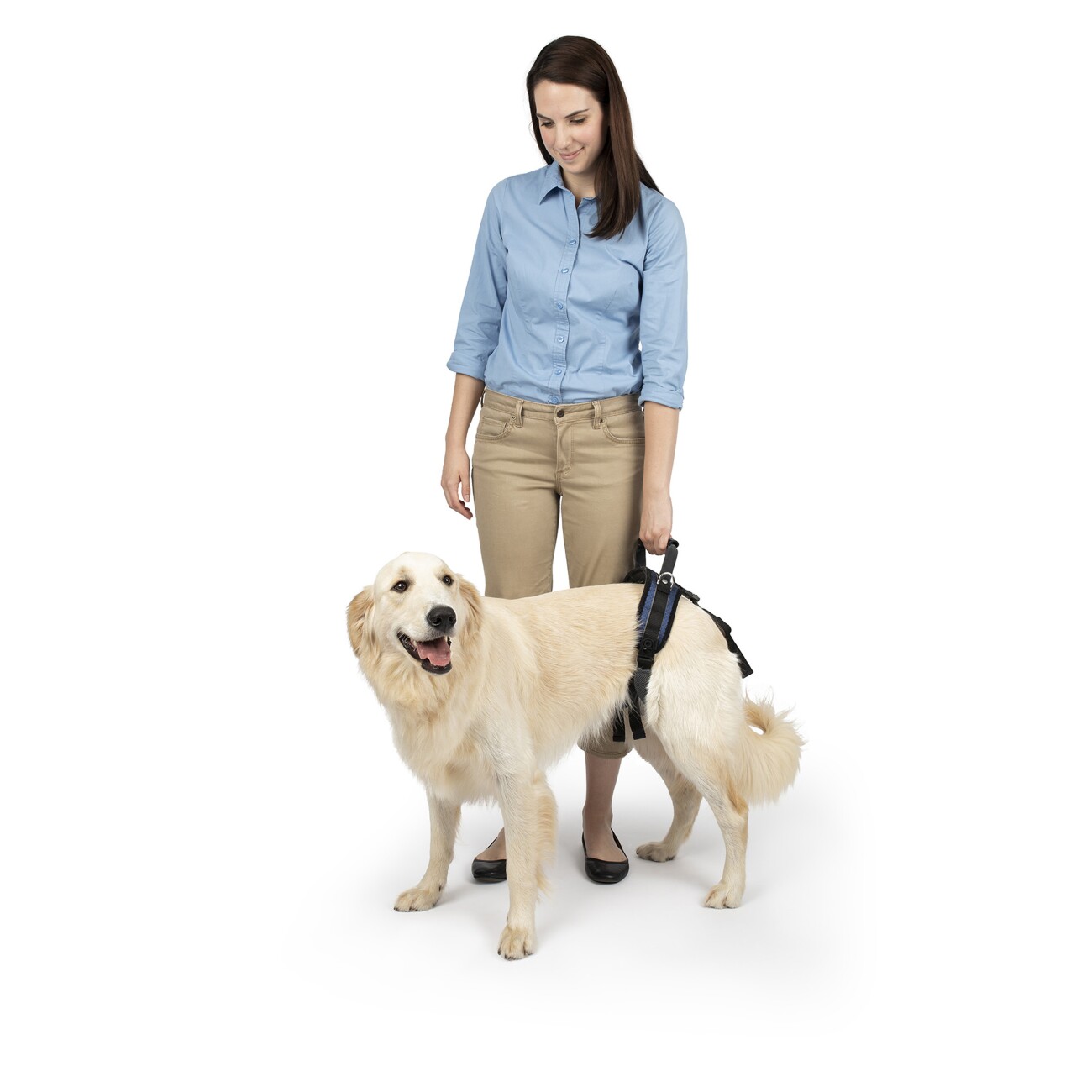 PetSafe CareLift Hüft-Hebegeschirr für Hunde