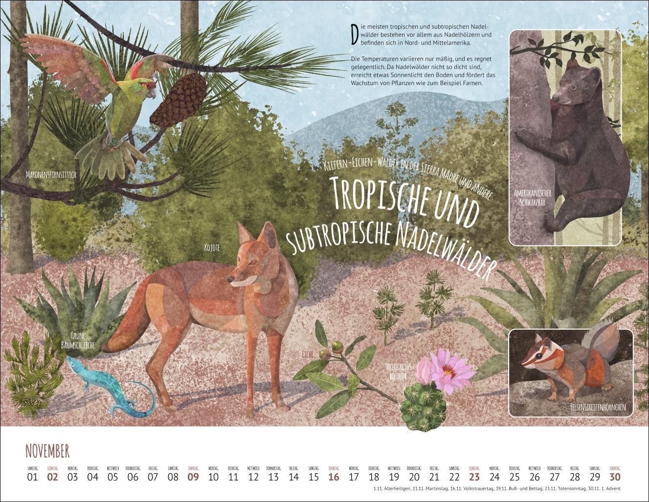 Wo Tiere und Pflanzen zu Hause sind Kalender 2025 - Biome der Welt