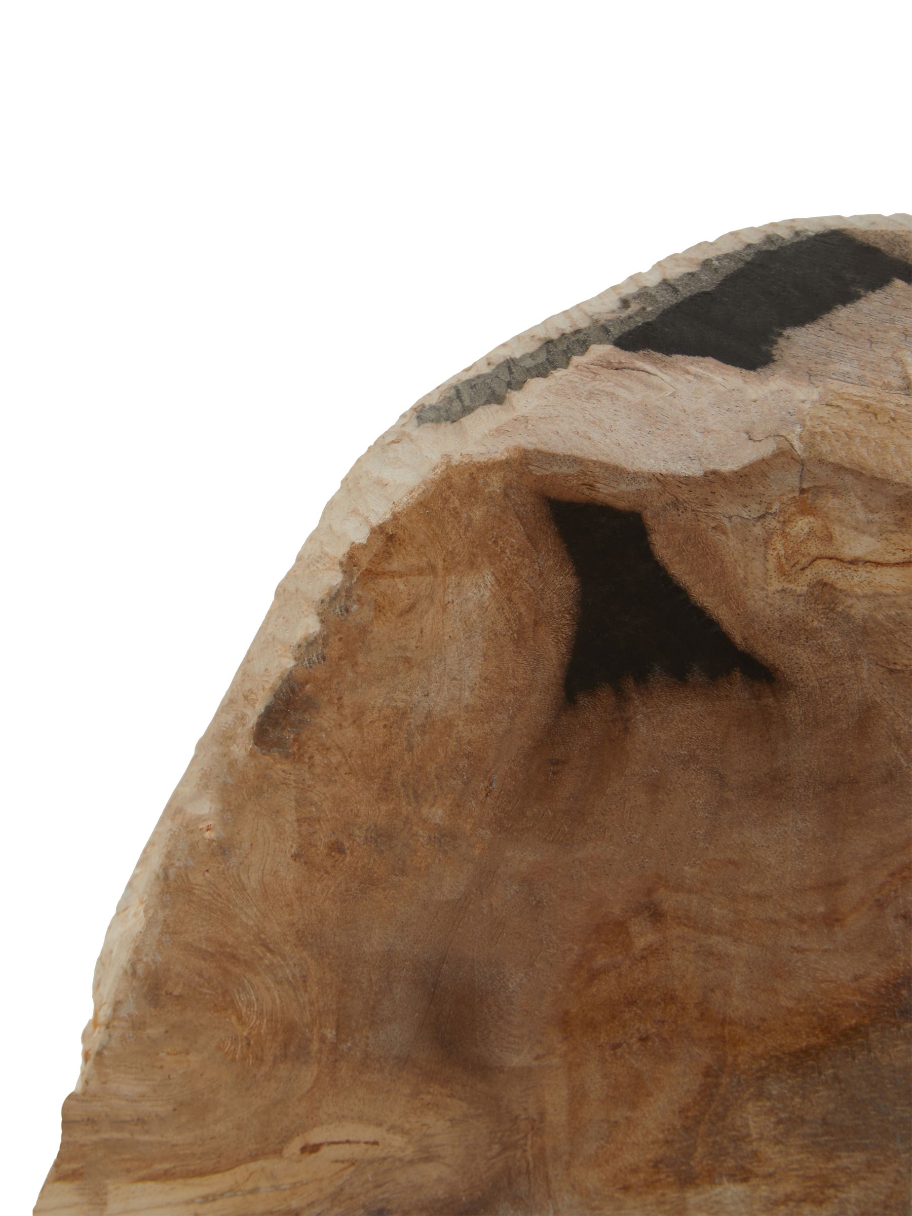 Fifty Five South Relic Set Of 2 Petrified Wood Bookends