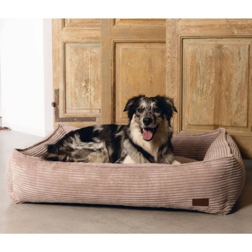 Berço para cachorro rosa desenhado por Lotte