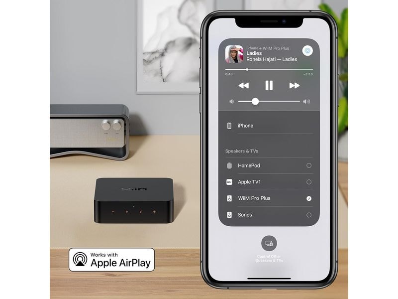 WiiM Netzwerk-Audioplayer Pro Plus Schwarz Ultrahochauflösender Audio-Streamer mit Chromecast