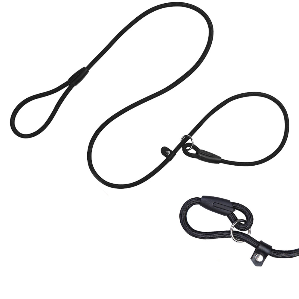 Verhaltensleine für Hunde mit Seilhalsband