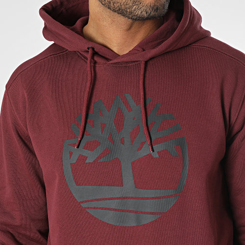 Sweat Capuche Core Logo A2BJH Bordeaux