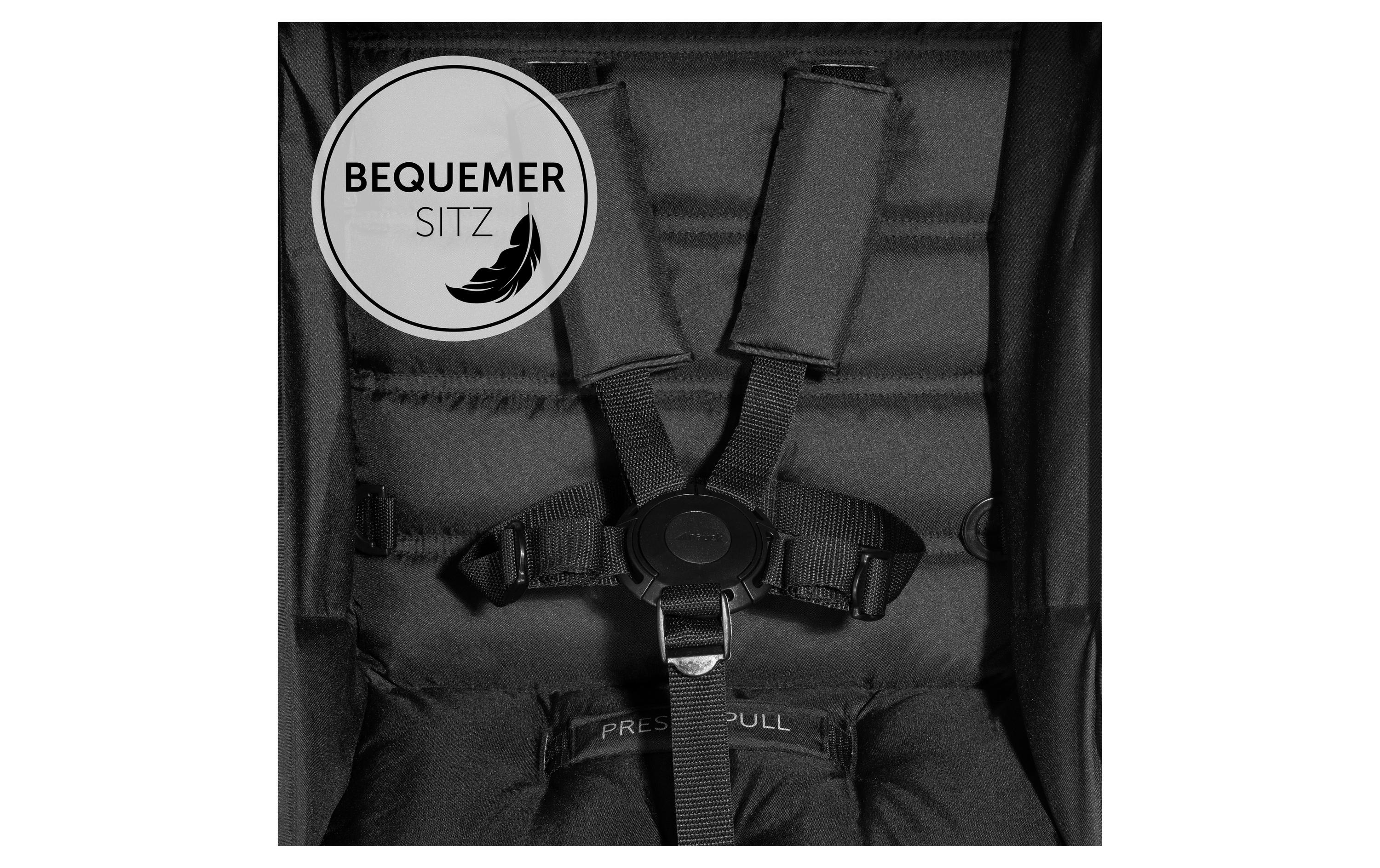 Buggy Rapid 4 Black<br>Der ideale Buggy für den urbanen Familienalltag