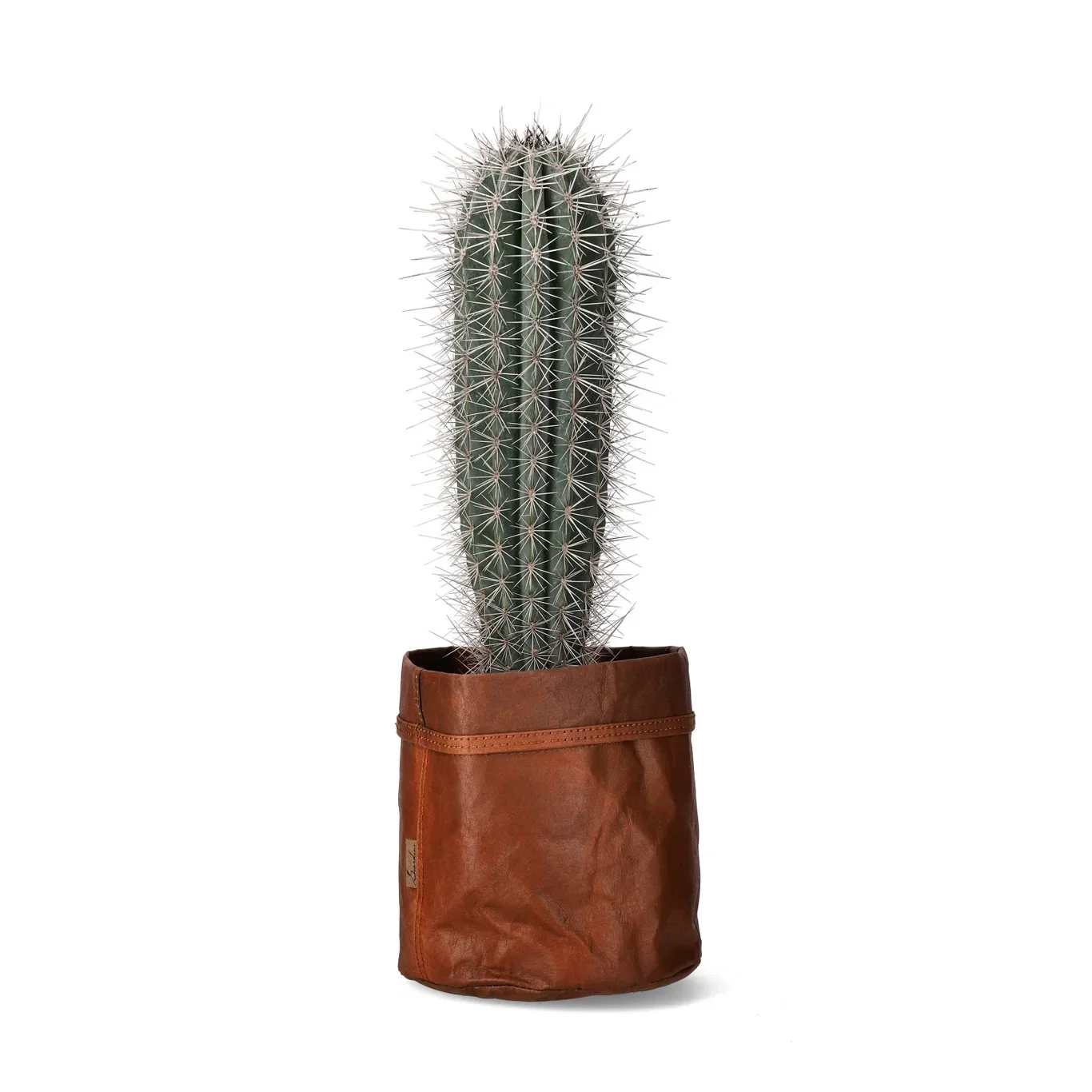 Potte Gael Ø20 cm