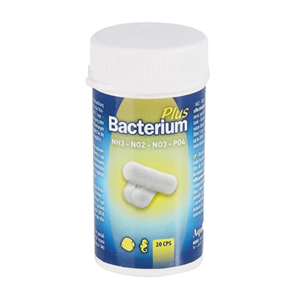 Bacterium e plus - bactéries pour lancement
