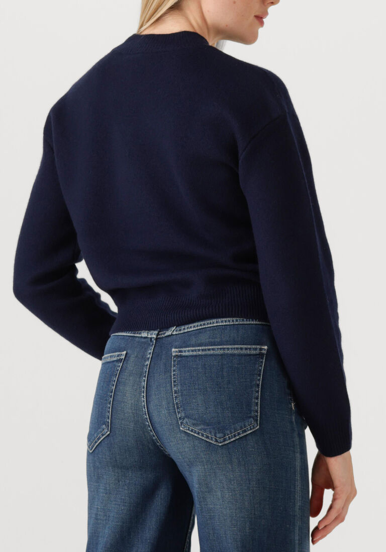 donkerblauwe apc trui pull jada