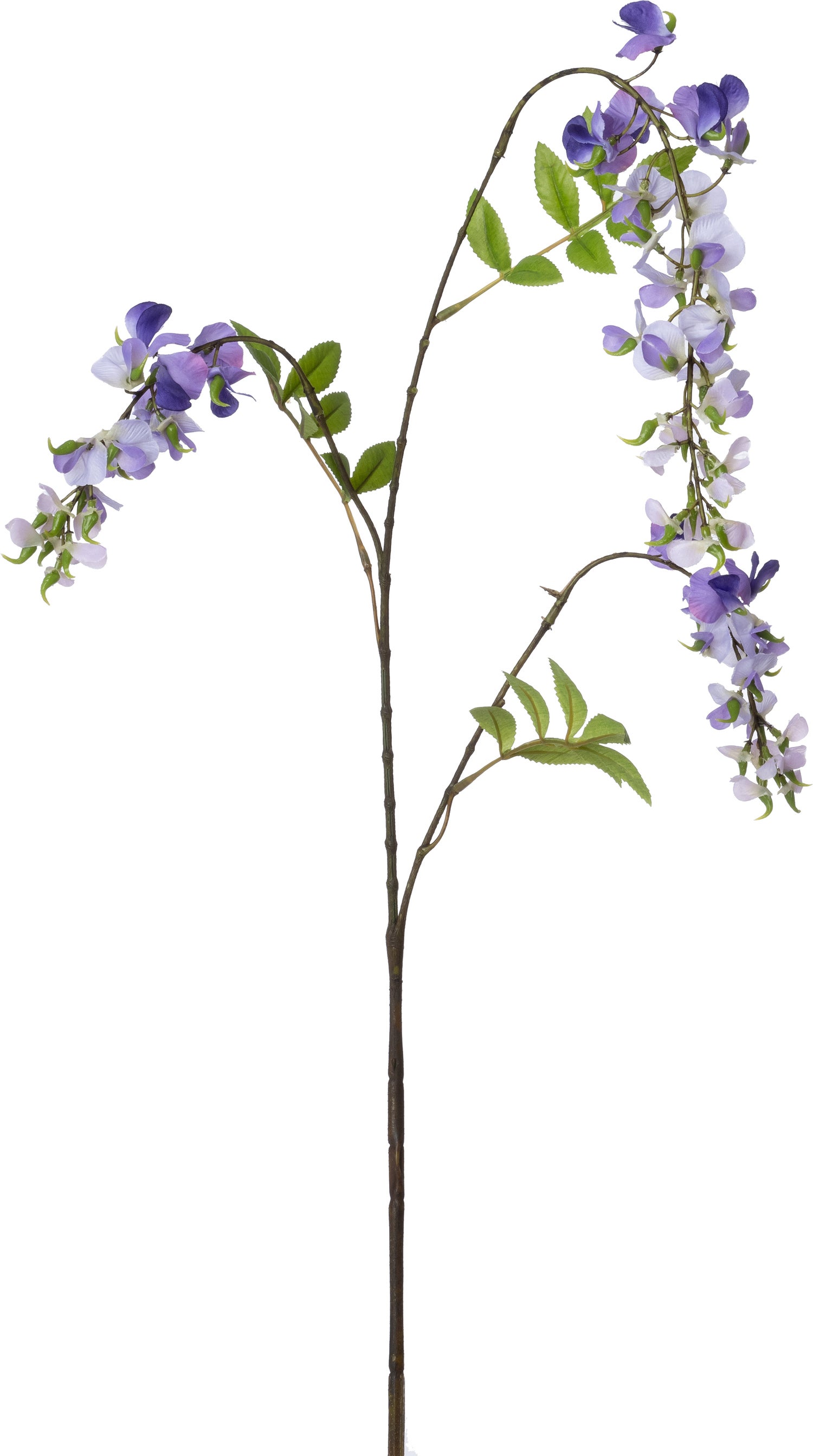 Intratuin kunstbloem Blauwe regen paars 80 cm