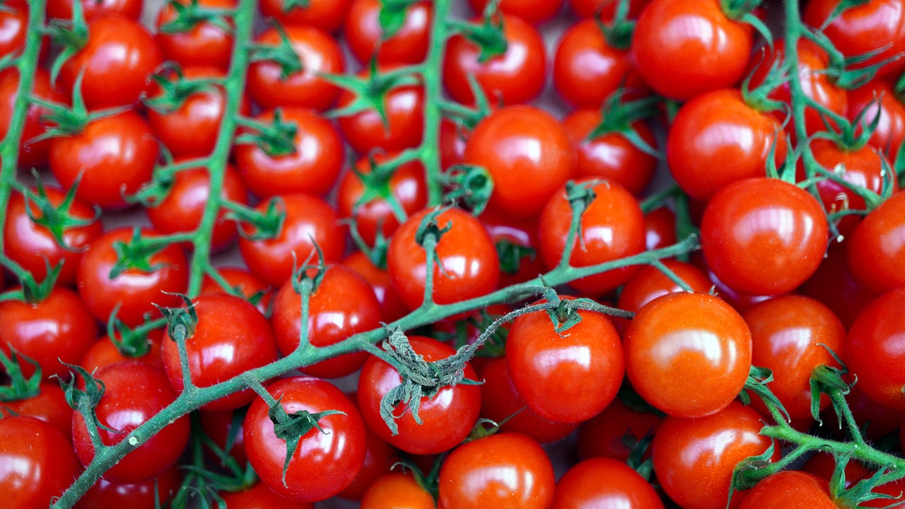 Sachet de graines de tomates cerise pour cocktail - sachet de 1 grammes - petite entreprise française - made in france