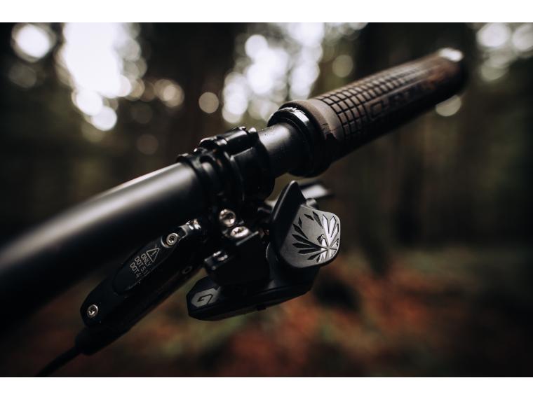SRAM GX Eagle AXS Shifter