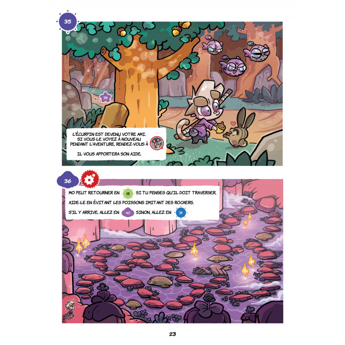 Chatons  et  Dragons : Le Choukra - La BD dont tu es le Petit Héros