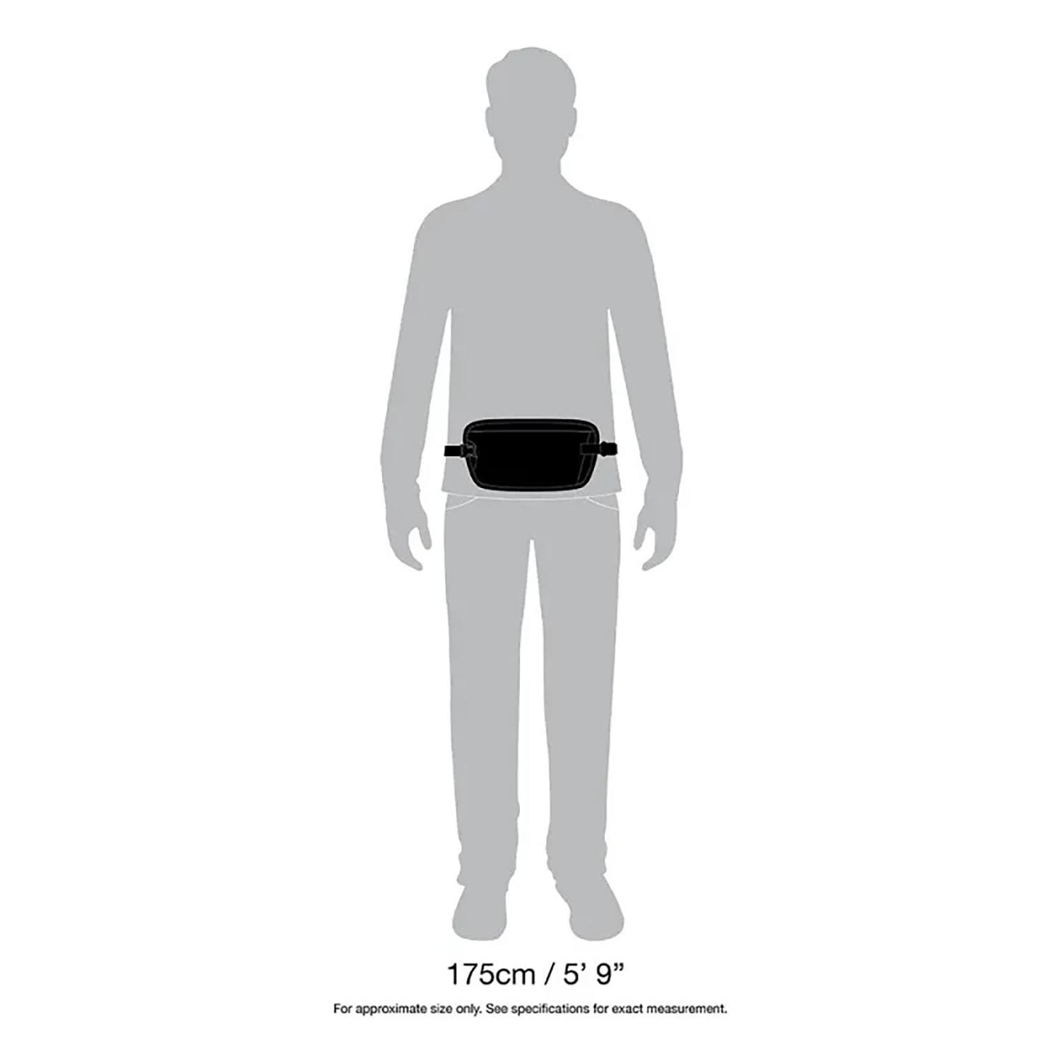 Pacsafe Coversafe X100 Waist Wallet