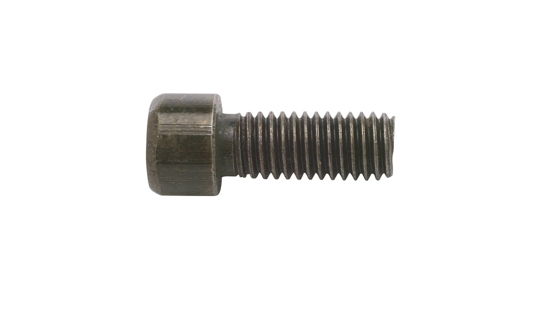 Bolt bremseskive bag 8x22mm, Lambros