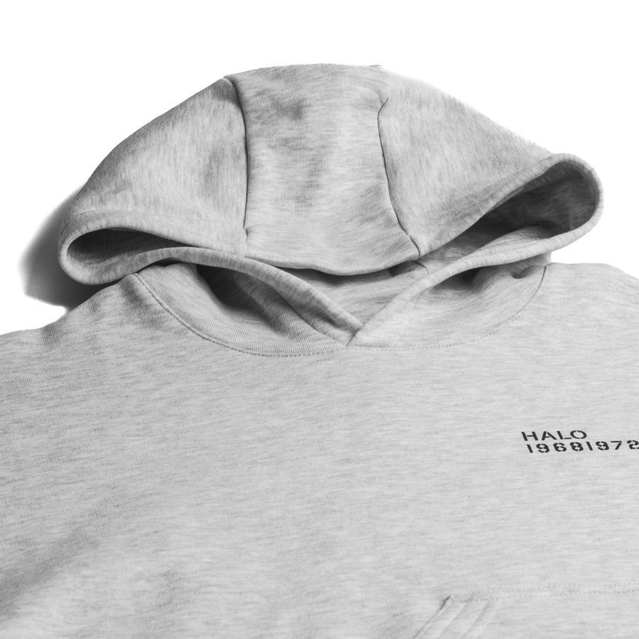 HALO Cotton Sweat à Capuche - Gris