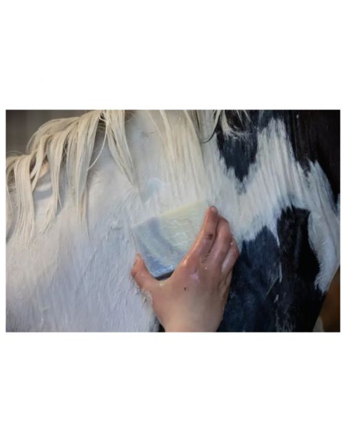 Vitalstyle Shampoobar White & Peppermint - Paardenvachtverzorging - 180 g
