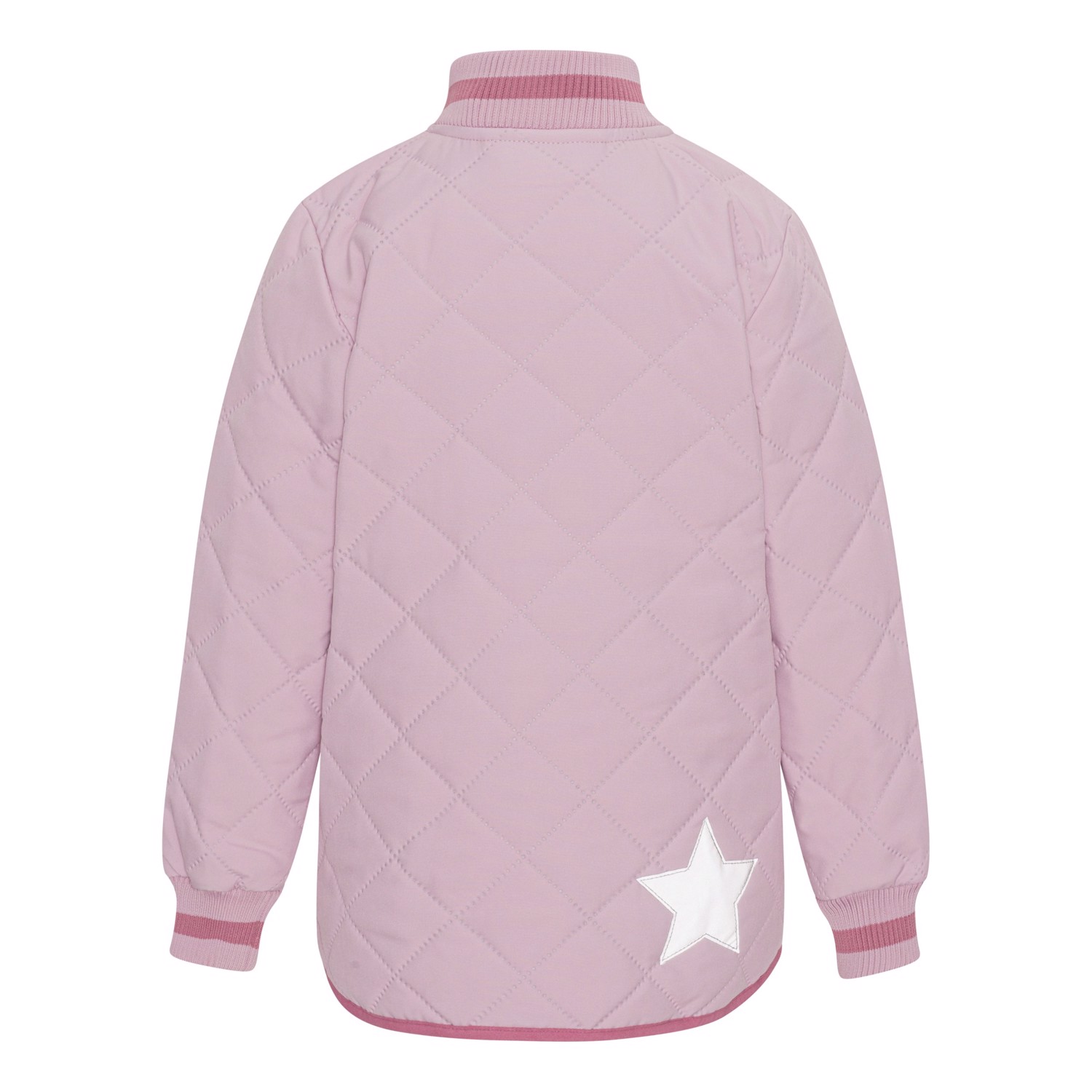 Husky - Blue Pink
