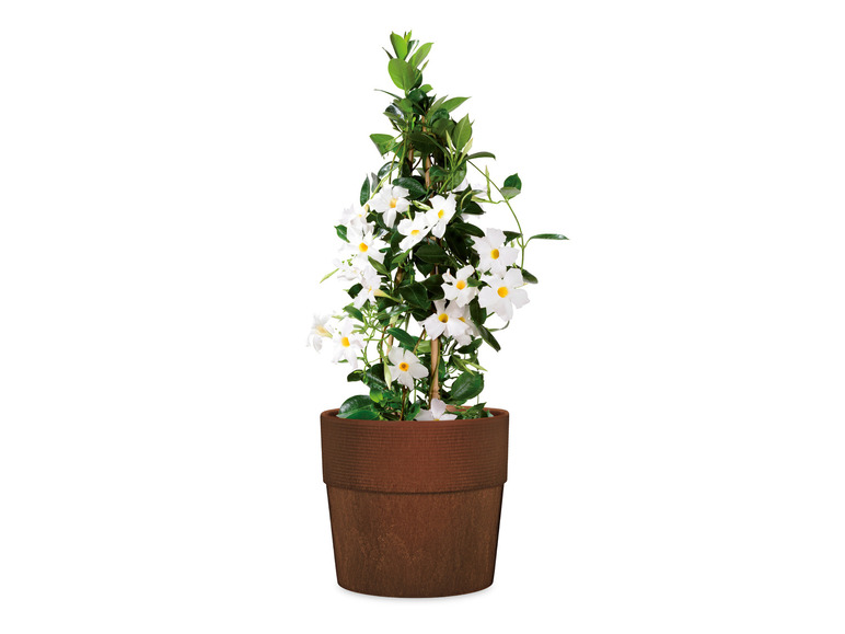 Plantenbak GROOVE PLUS