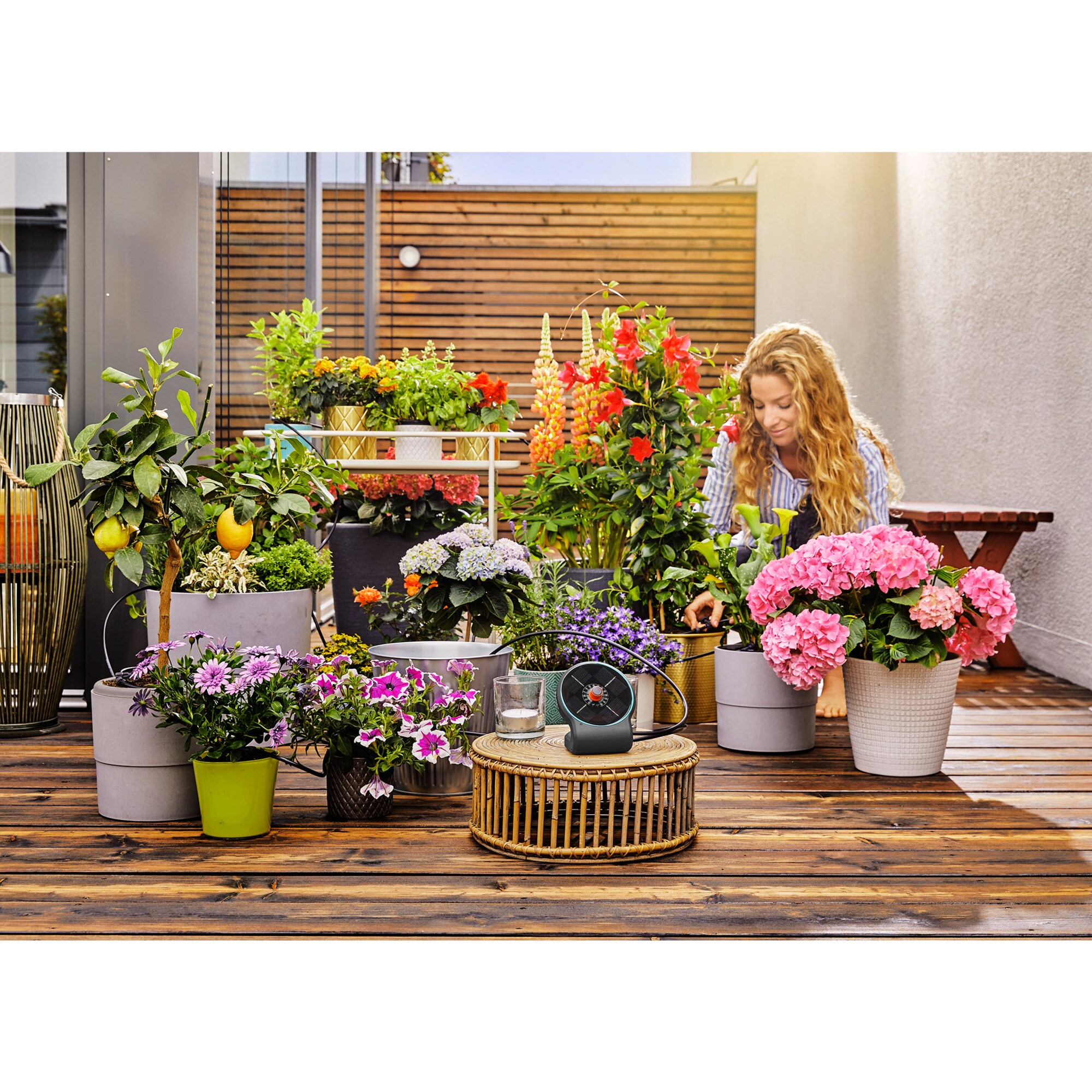 GARDENA Bewässerungssteuerung Solar-Bewässerung AquaBloom Set