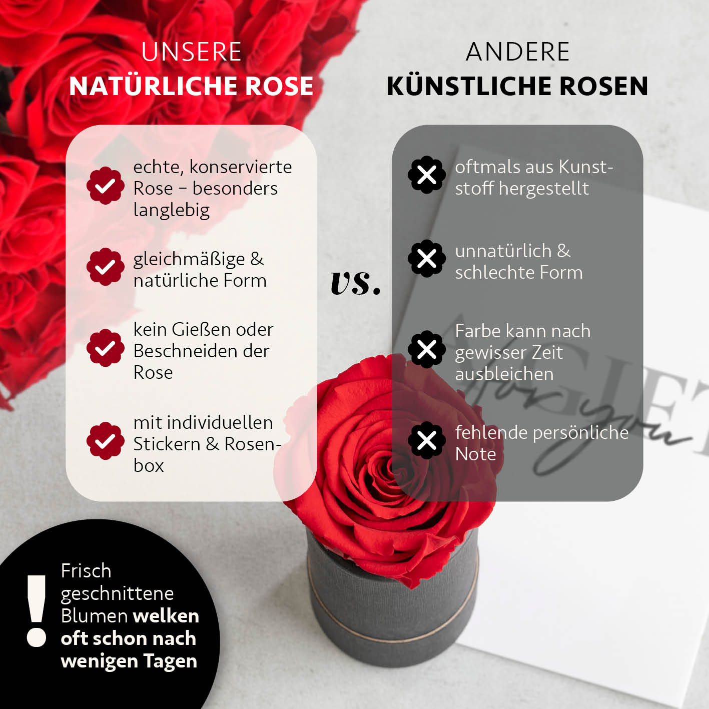 MyFlowers Infinity Rose 100% echte Rose