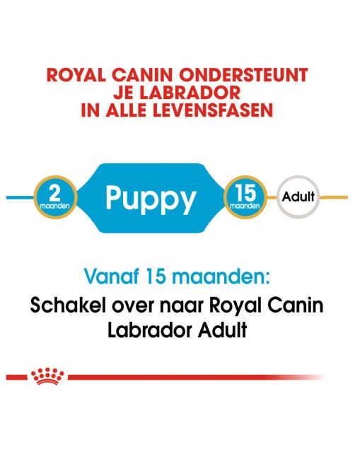 Royal Canin Labrador Retriever - Puppy-Hondenvoer