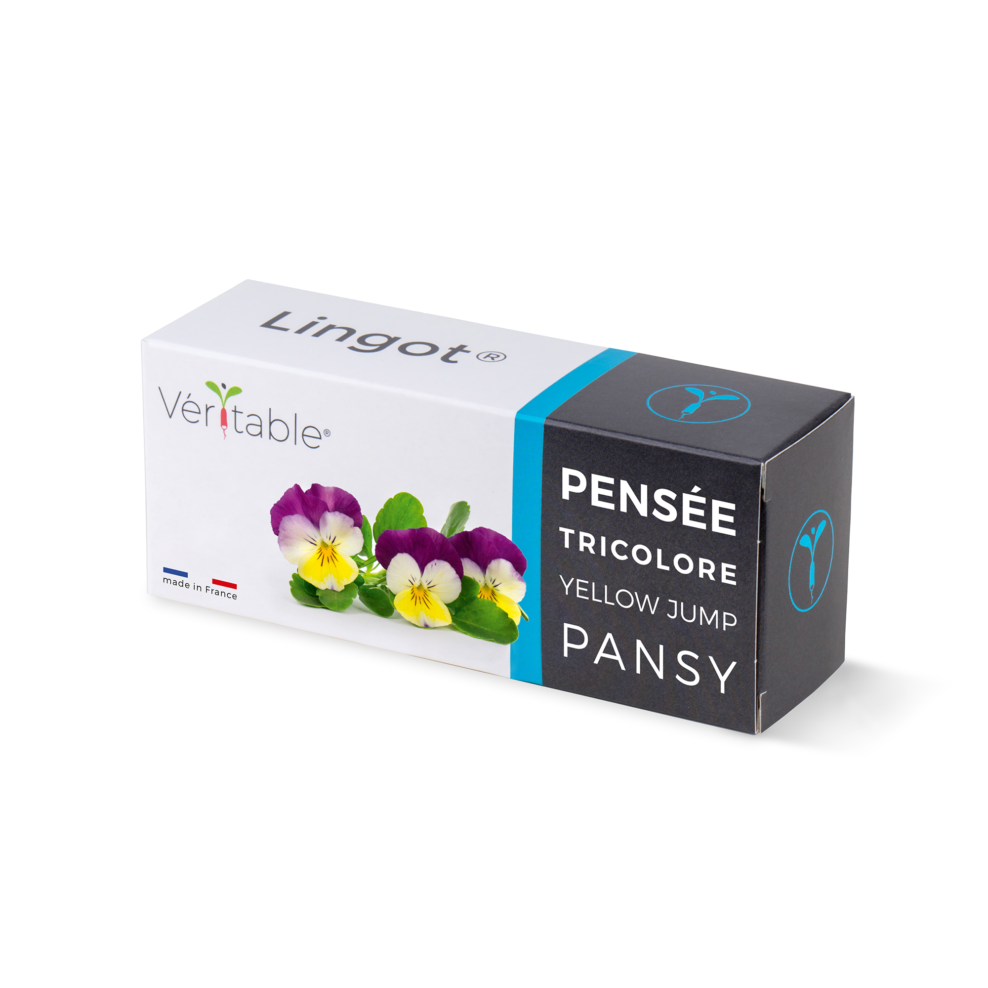 Lingot® pensées multicolores - recharge prête à l'emploi